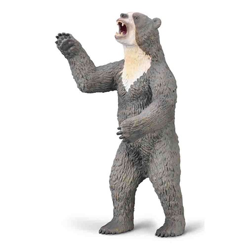 Collecta giant short faced - giant, short-faced