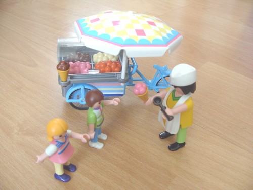 Playmobil 100 complete - 100%, set